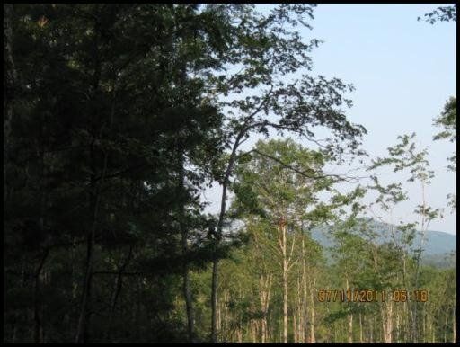 0 Vespie Rd, Wartburg, TN 37887