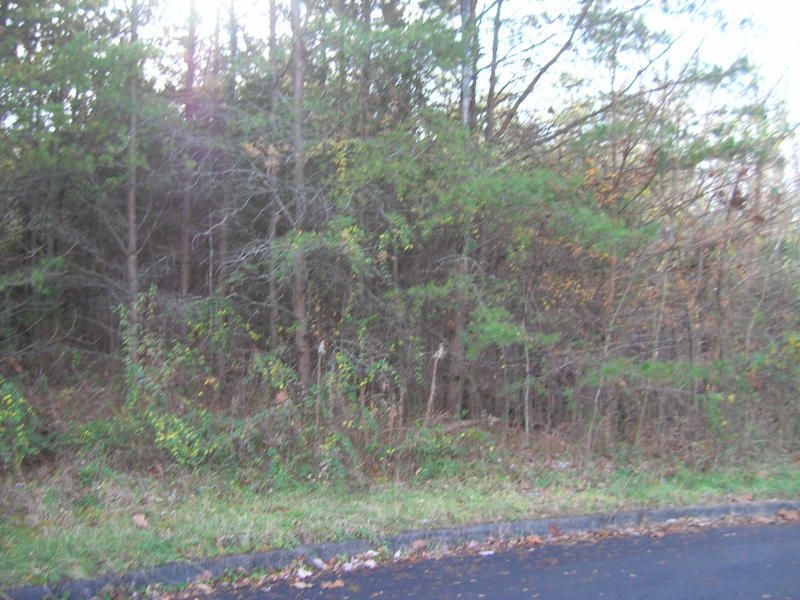 0 Vigil Dr, Seymour, TN 37865