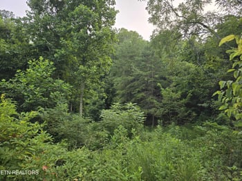 0 Volunteer Rd, Rutledge, TN 37861