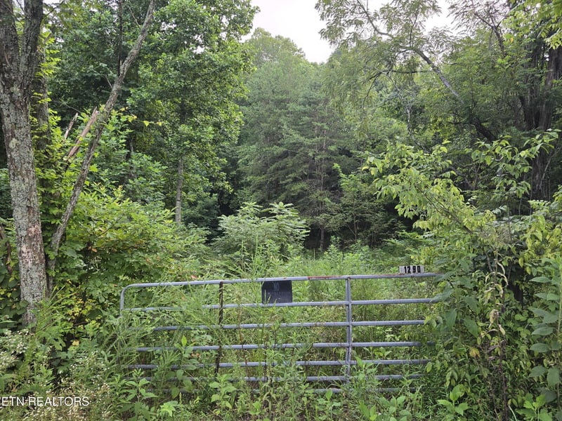 0 Volunteer Rd, Rutledge, TN 37861