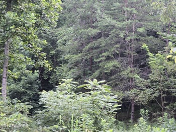0 Volunteer Rd, Rutledge, TN 37861