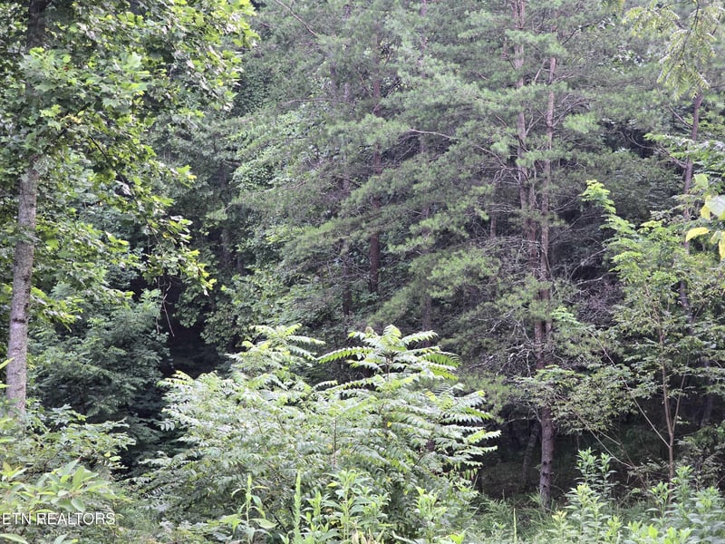 0 Volunteer Rd, Rutledge, TN 37861