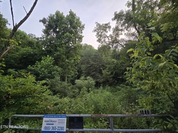 0 Volunteer Rd, Rutledge, TN 37861
