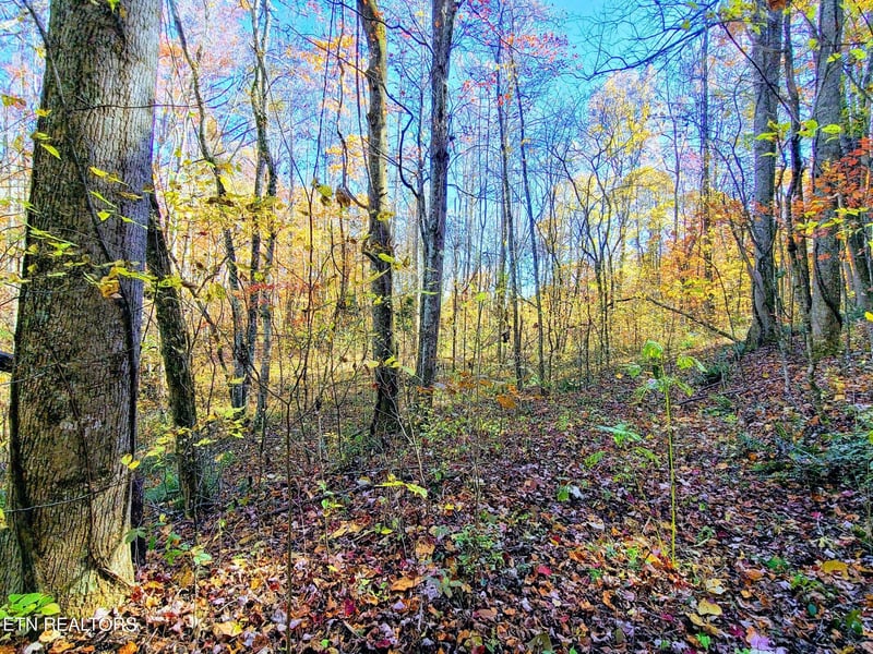 0 Vowell Mountain Ln, Rocky Top, TN 37769