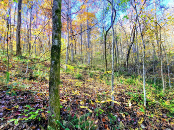 0 Vowell Mountain Ln, Rocky Top, TN 37769