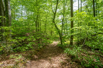 0 W Bullrun Valley Dr, Heiskell, TN 37754