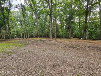 0 W Catoosa Canyon Dr, Crossville, TN 38571