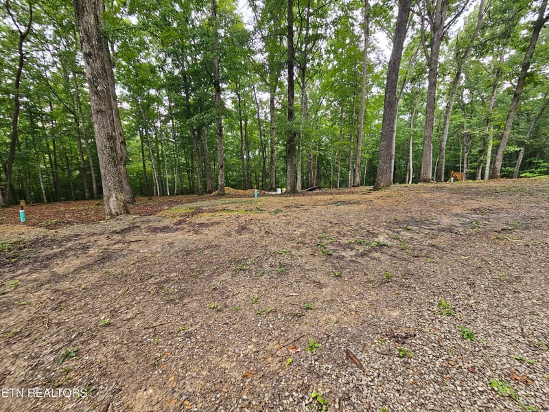 0 W Catoosa Canyon Dr, Crossville, TN 38571