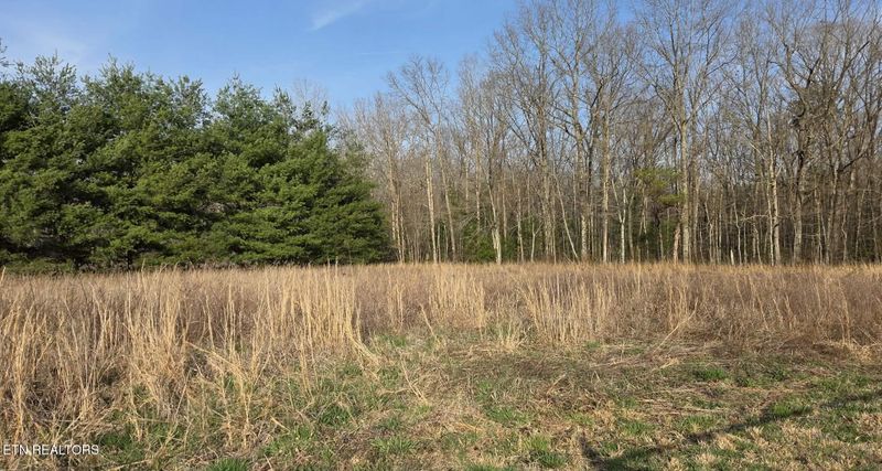 0 W End Rd, Rockwood, TN 37854