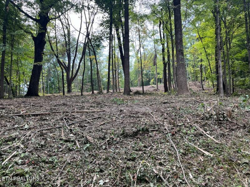 0 W Hemlock St, Lafollette, TN 37766