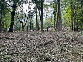 0 W Hemlock St, Lafollette, TN 37766