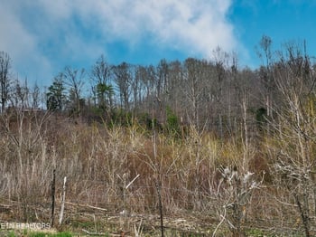 0 W High Knob Rd, Lafollette, TN 37766