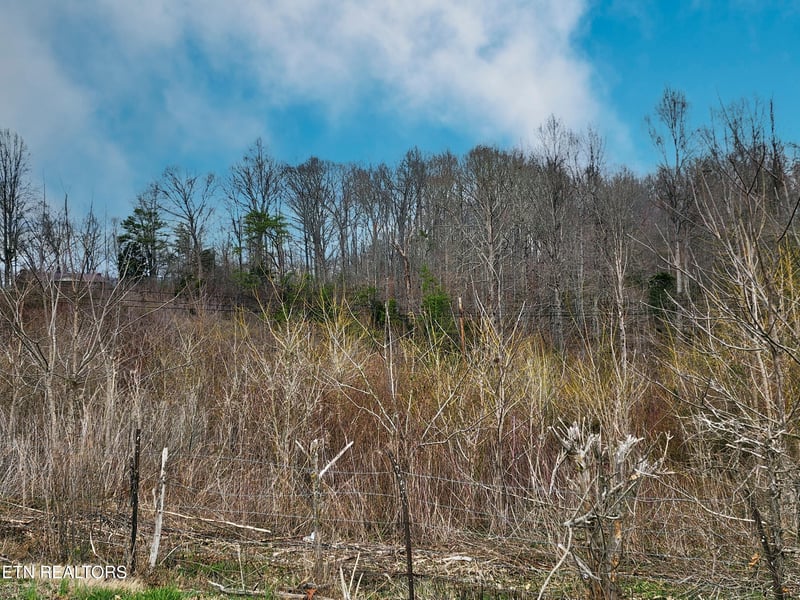 0 W High Knob Rd, Lafollette, TN 37766