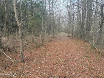 0 W Lamar Alex Pkwy, Friendsville, TN 37737