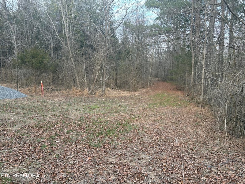 0 W Lamar Alex Pkwy, Friendsville, TN 37737