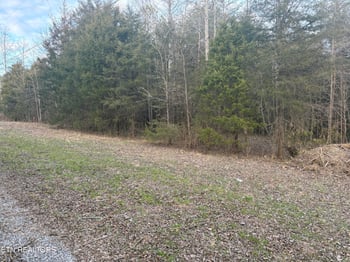 0 W Lamar Alex Pkwy, Friendsville, TN 37737