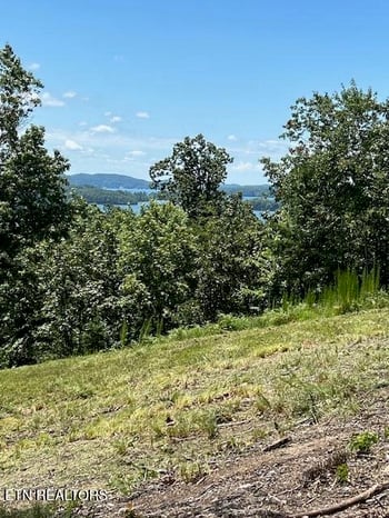 0 W Mountain Dr, Rockwood, TN 37854