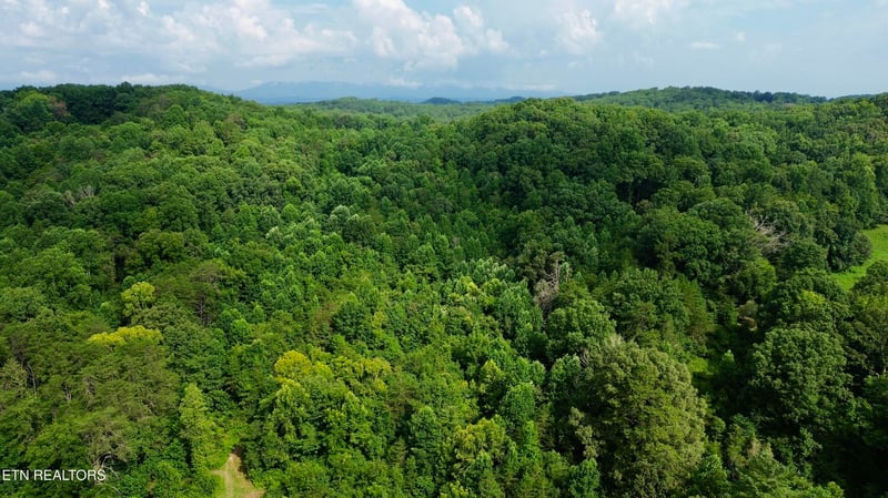 0 W Raccoon Valley Dr, Heiskell, TN 37754