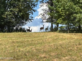 0 W Shore Dr, Rockwood, TN 37854