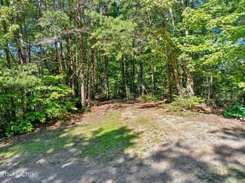0 Wakeman Way, Cosby, TN 37722