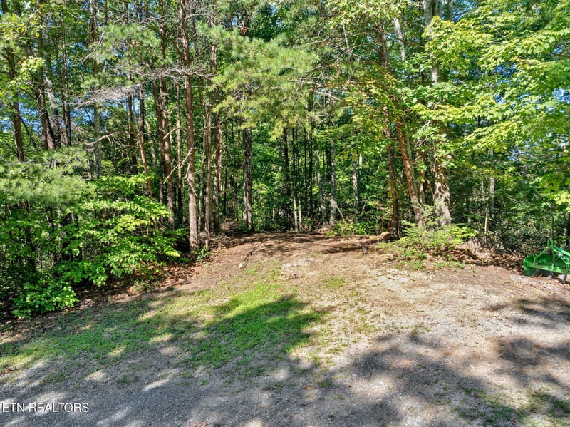 0 Wakeman Way, Cosby, TN 37722