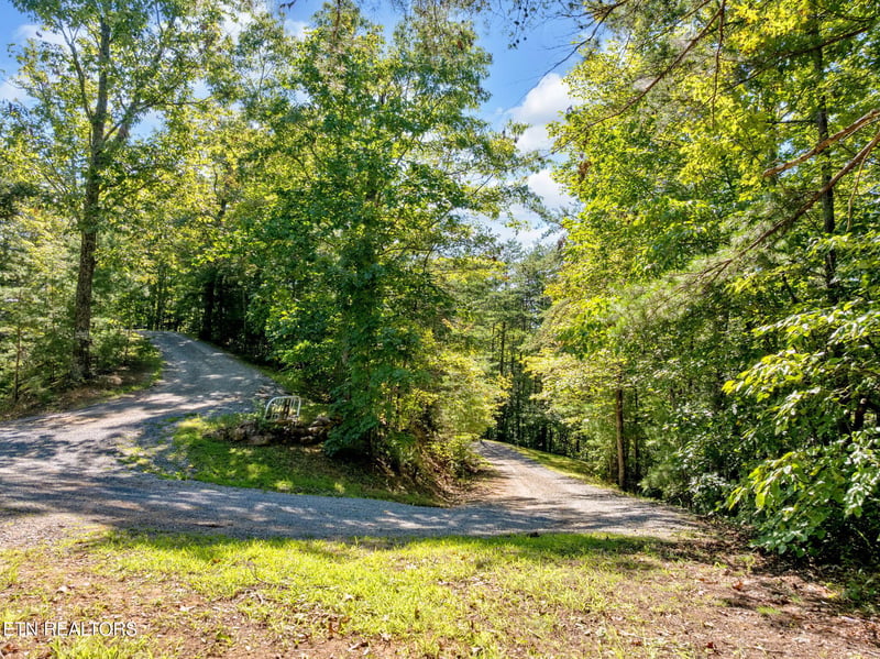 0 Wakeman Way, Cosby, TN 37722