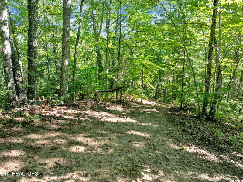 0 Wakeman Way, Cosby, TN 37722