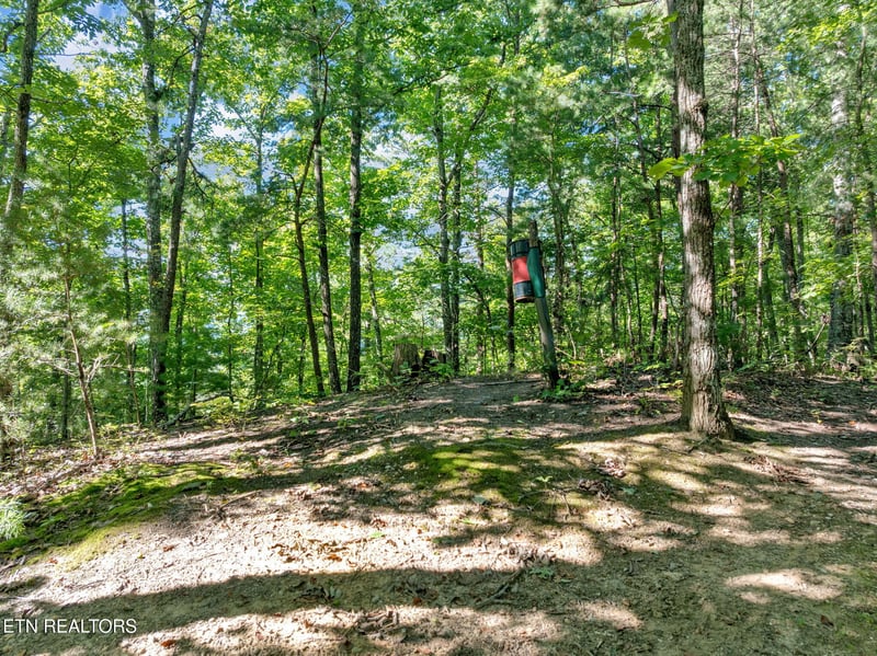 0 Wakeman Way, Cosby, TN 37722