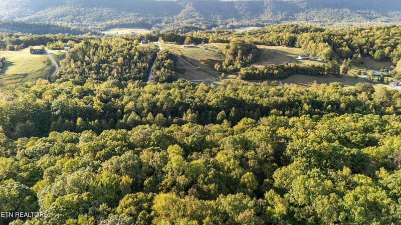 0 Waldo Rd, Rockwood, TN 37854