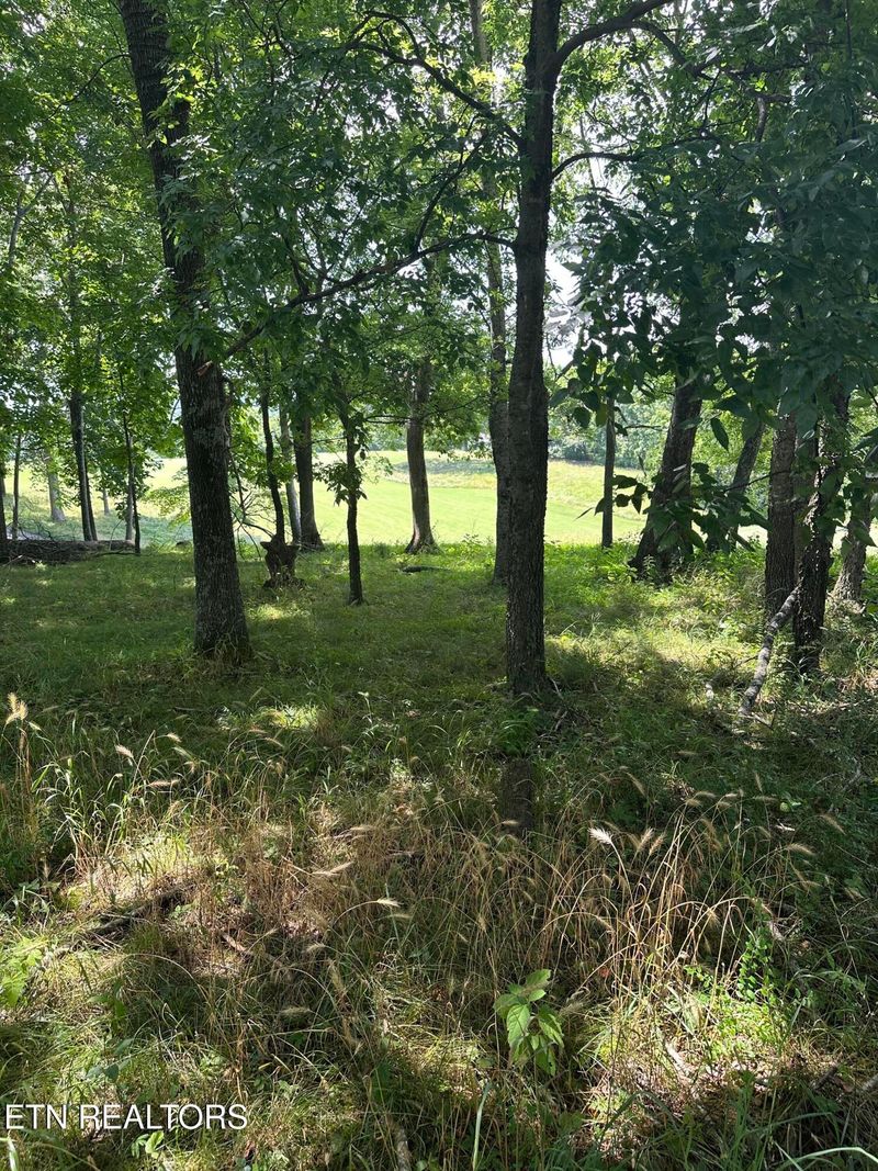 0 Walelu Trail Tr, Vonore, TN 37885