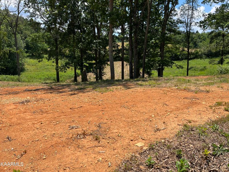 0 Walker Rd, Knoxville, TN 37938