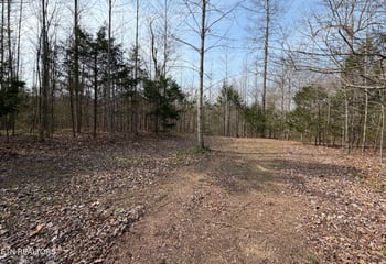 0 Walker Rd, Sharps Chapel, TN 37866