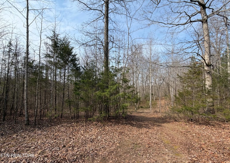 0 Walker Rd, Sharps Chapel, TN 37866