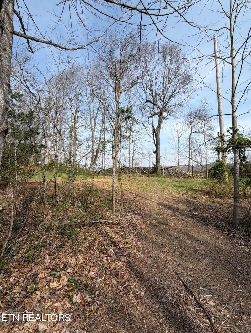 0 Walker Rd, Sharps Chapel, TN 37866