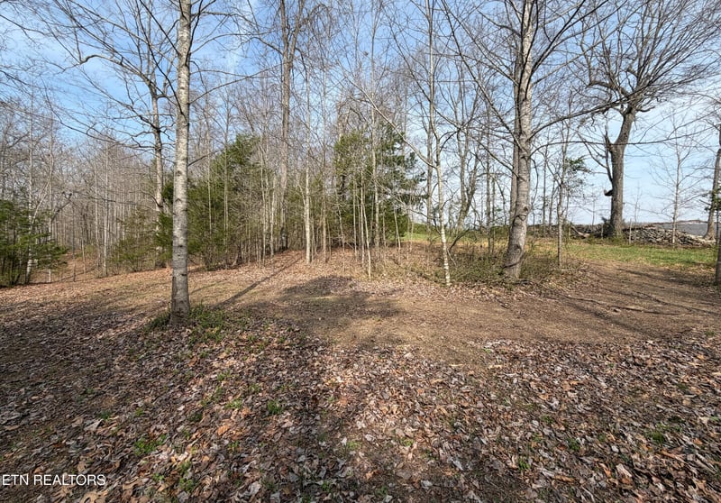 0 Walker Rd, Sharps Chapel, TN 37866