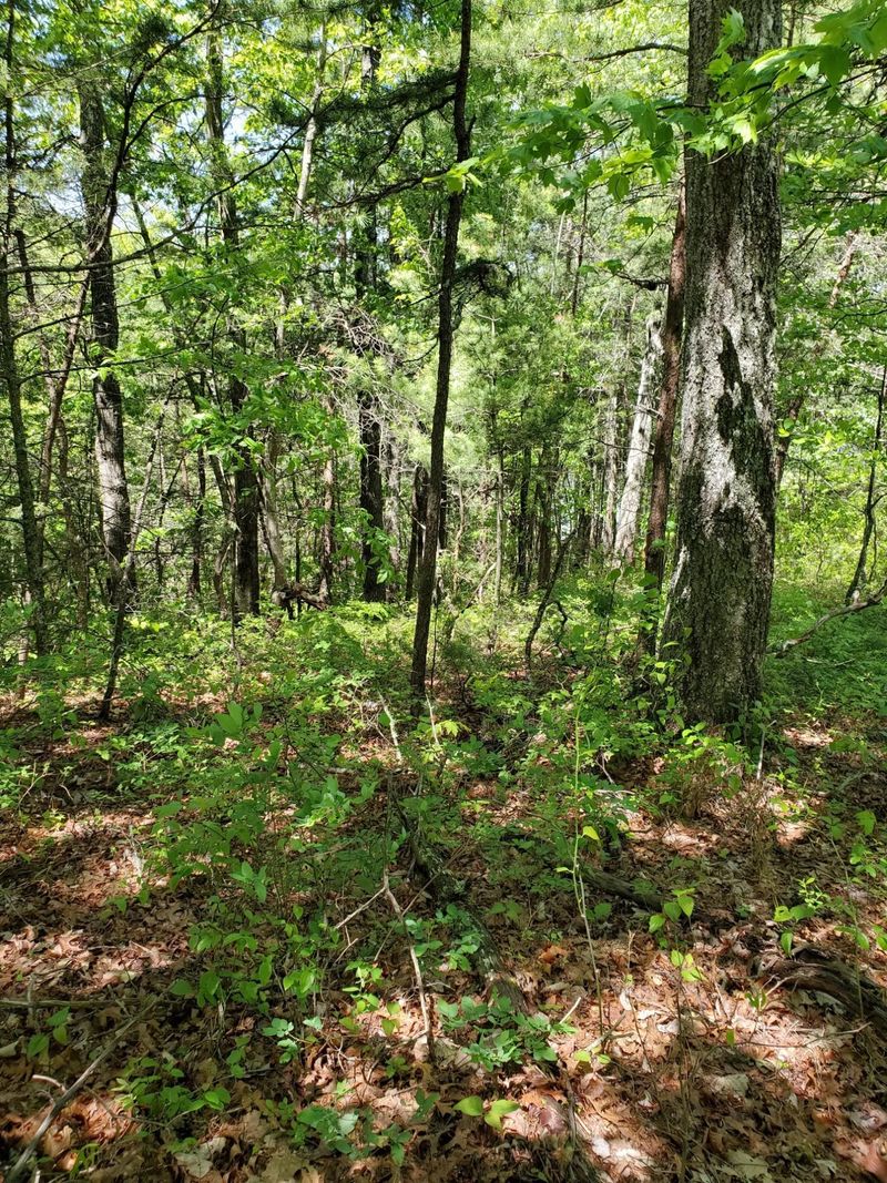 0 Walnut Ct, Sevierville, TN 37876