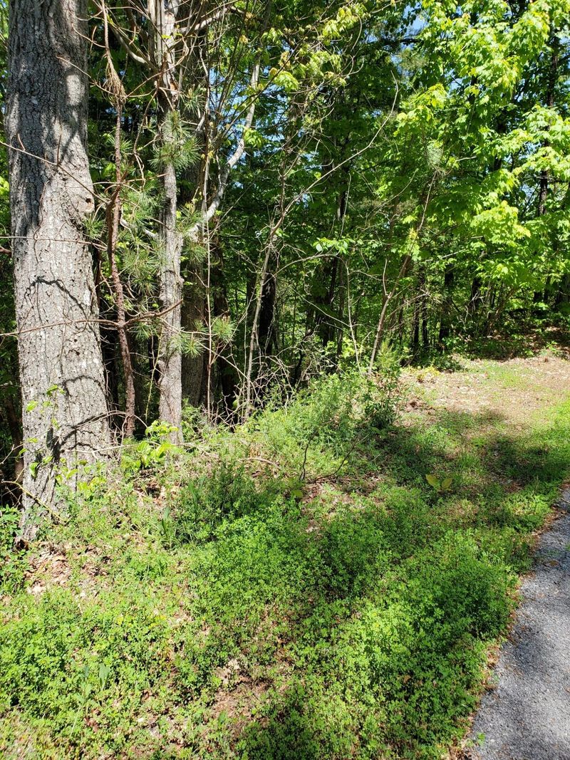 0 Walnut Ct, Sevierville, TN 37876