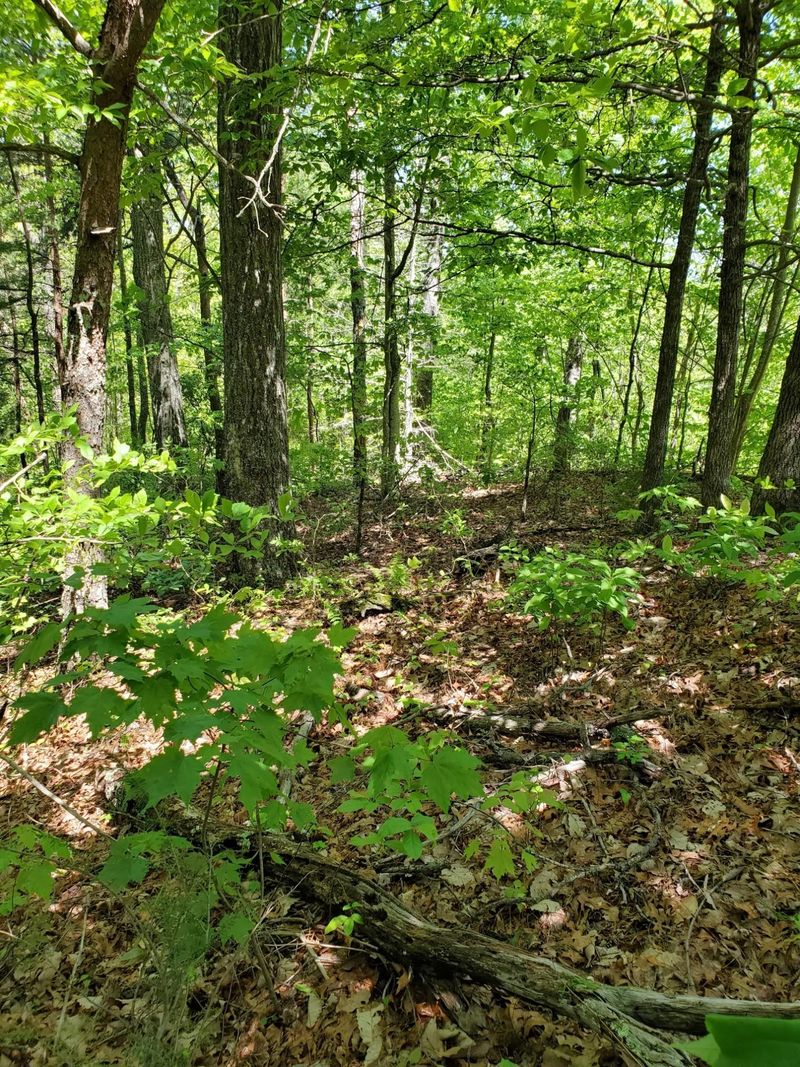 0 Walnut Ct, Sevierville, TN 37876