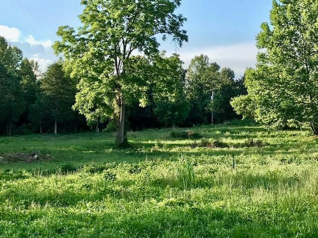 0 Walnut Grove Lot #3, Vonore, TN 37885