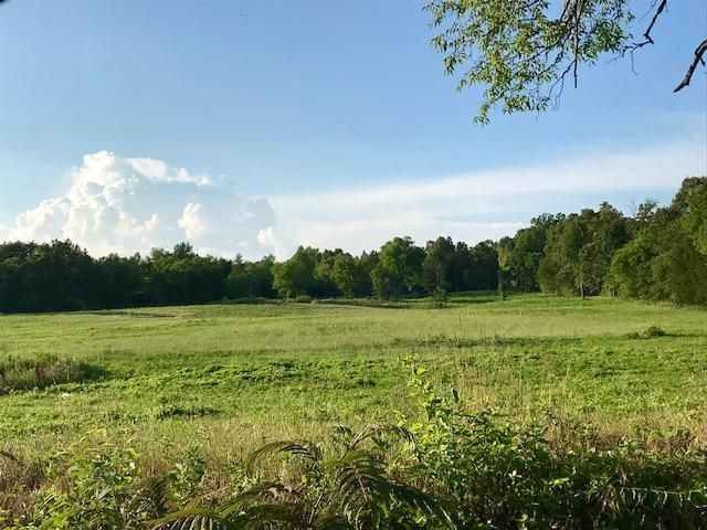 0 Walnut Grove Lot #3, Vonore, TN 37885