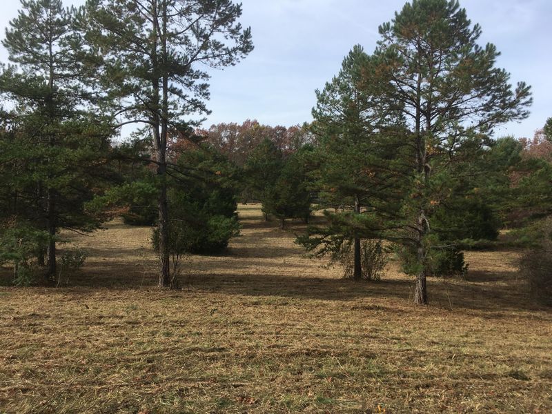 0 Walter Thomas Ln, Oneida, TN 37841