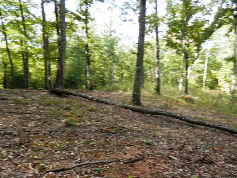 0 Warrior's Passage #2126-L, Tellico Plains, TN 37385