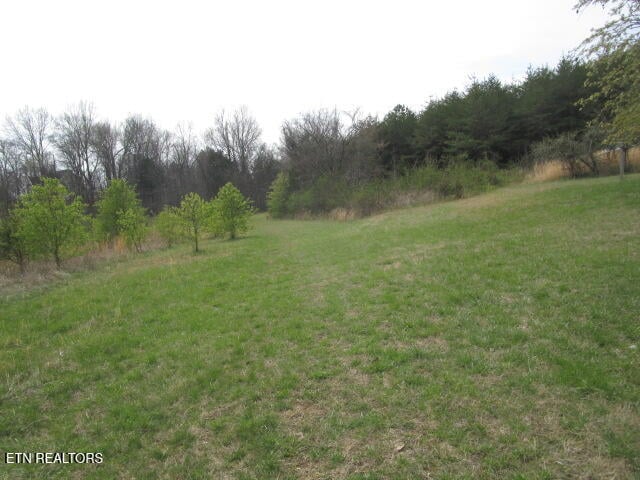 0 Washington Pike, Luttrell, TN 37779