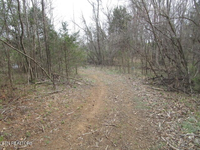 0 Washington Pike, Luttrell, TN 37779