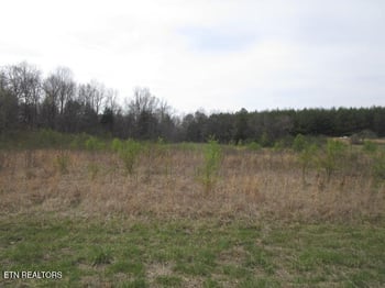 0 Washington Pike, Luttrell, TN 37779