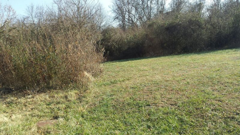 0 Wataga Ln, Loudon, TN 37774