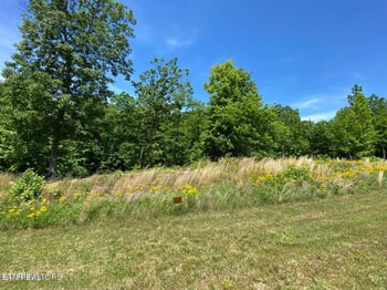 0 Water View Dr, Rockwood, TN 37854