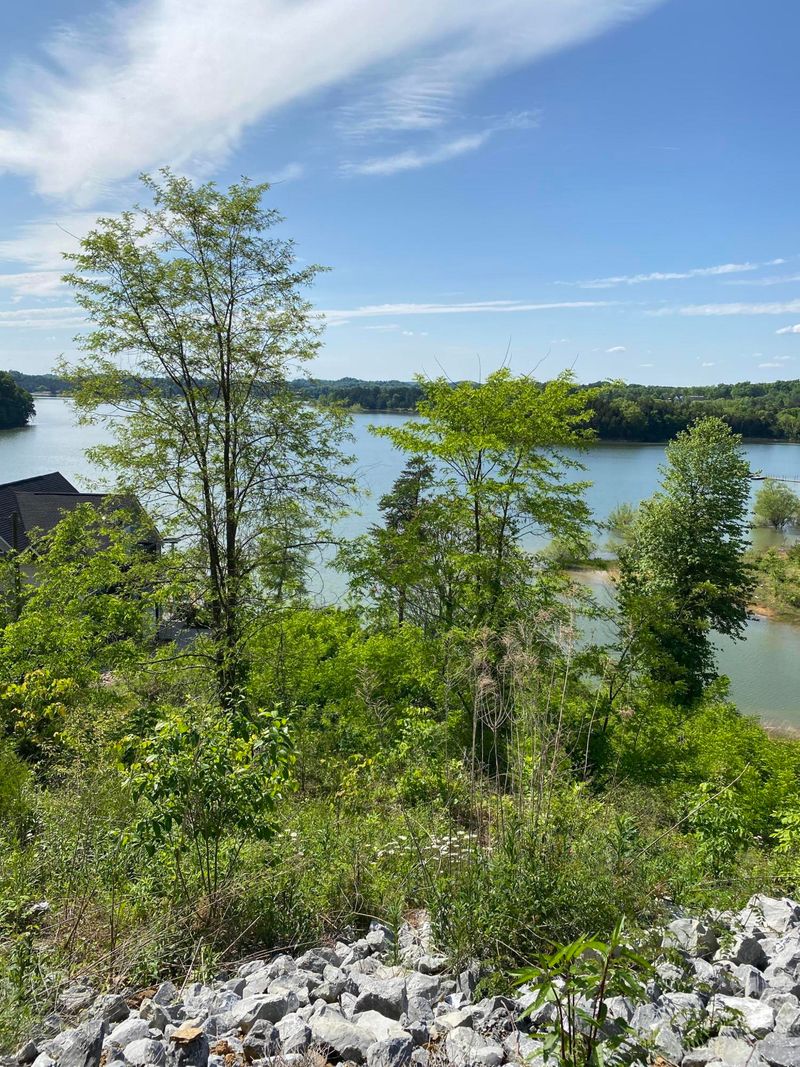 0 Waterfront Way, Sevierville, TN 37876