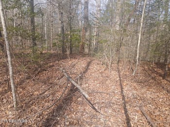 0 Waters End Rd, Walland, TN 37886