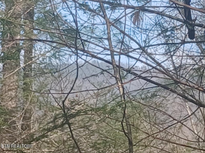 0 Waters End Rd, Walland, TN 37886
